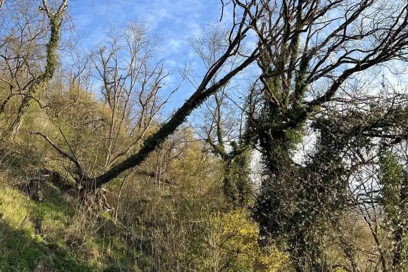 Sturmschäden & Notdienst – Schnelle Hilfe bei Sturmschäden – 24/7 erreichbar für Notfälle