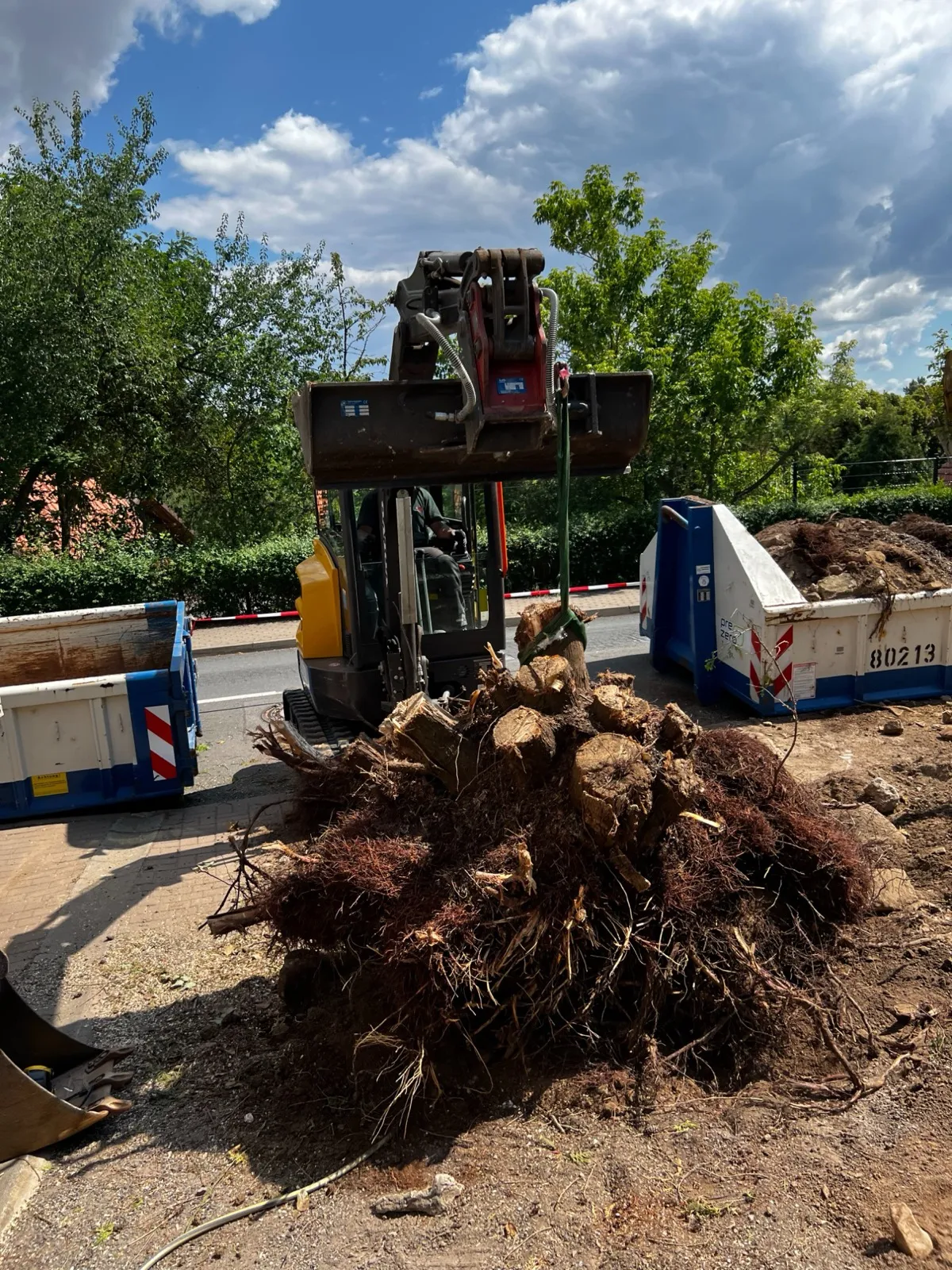 Bagger hebt sperrigen Wurzelstock zur Entsorgung