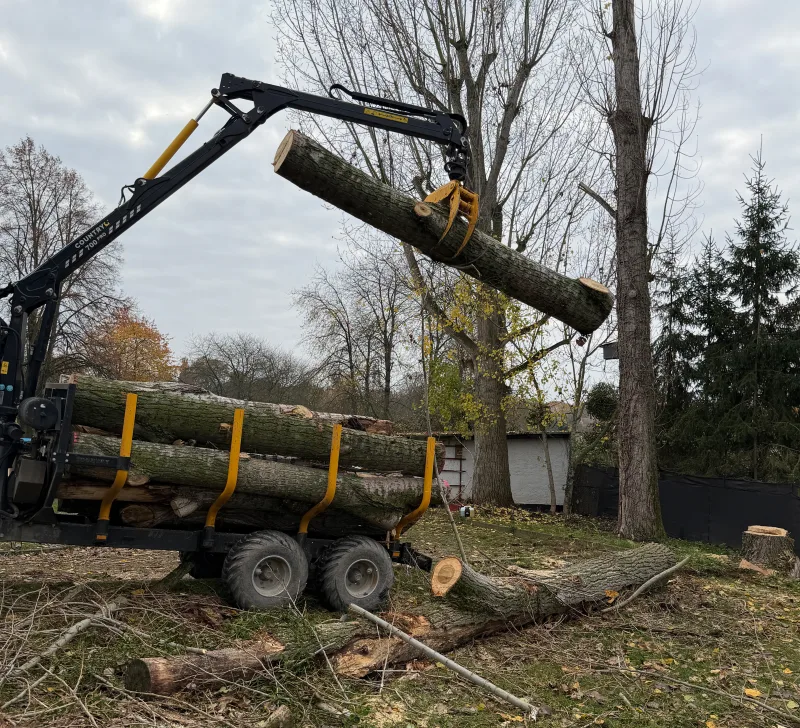 Ladekran verladt Baumstämme auf Rückeanhänger nach Baumfällung