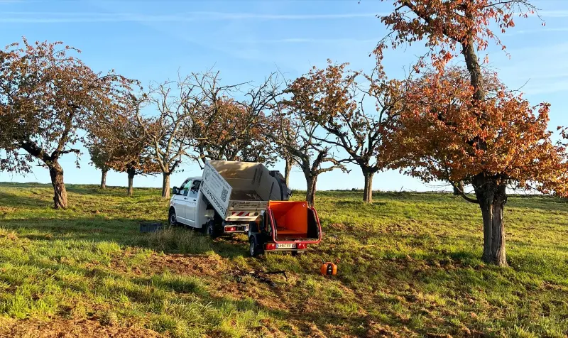 Entsorgung – Fachgerechte Entsorgung von Grünschnitt, Baumstämmen und Wurzelwerk