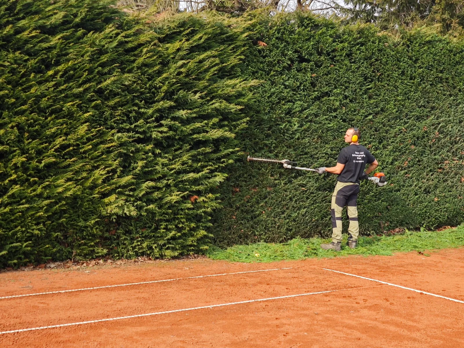 Professioneller Heckenschnitt mit Teleskop-Heckenschere an hoher Hecke