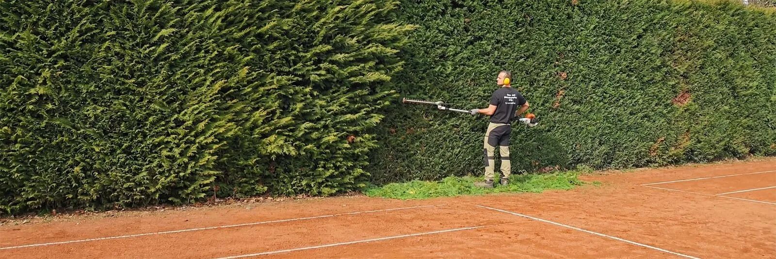 Professioneller Heckenschnitt an hoher Thujahecke