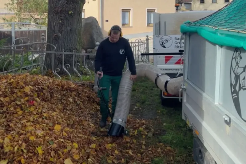 Laubbeseitigung – Zuverlässige Laubbeseitigung im Herbst für Privatgrundstücke und Gewerbeflächen