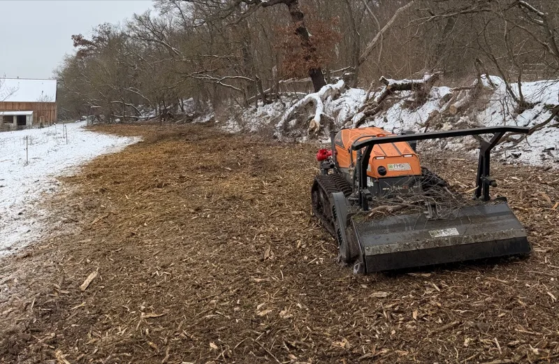 Rodungsarbeiten – Komplette Rodung von Grundstücken, Sträuchern und Wurzelstöcken
