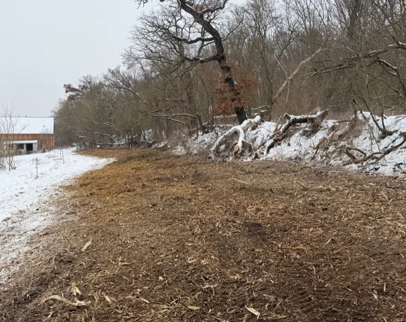 Grundstück nach der Rodung – saubere, gerodete Fläche
