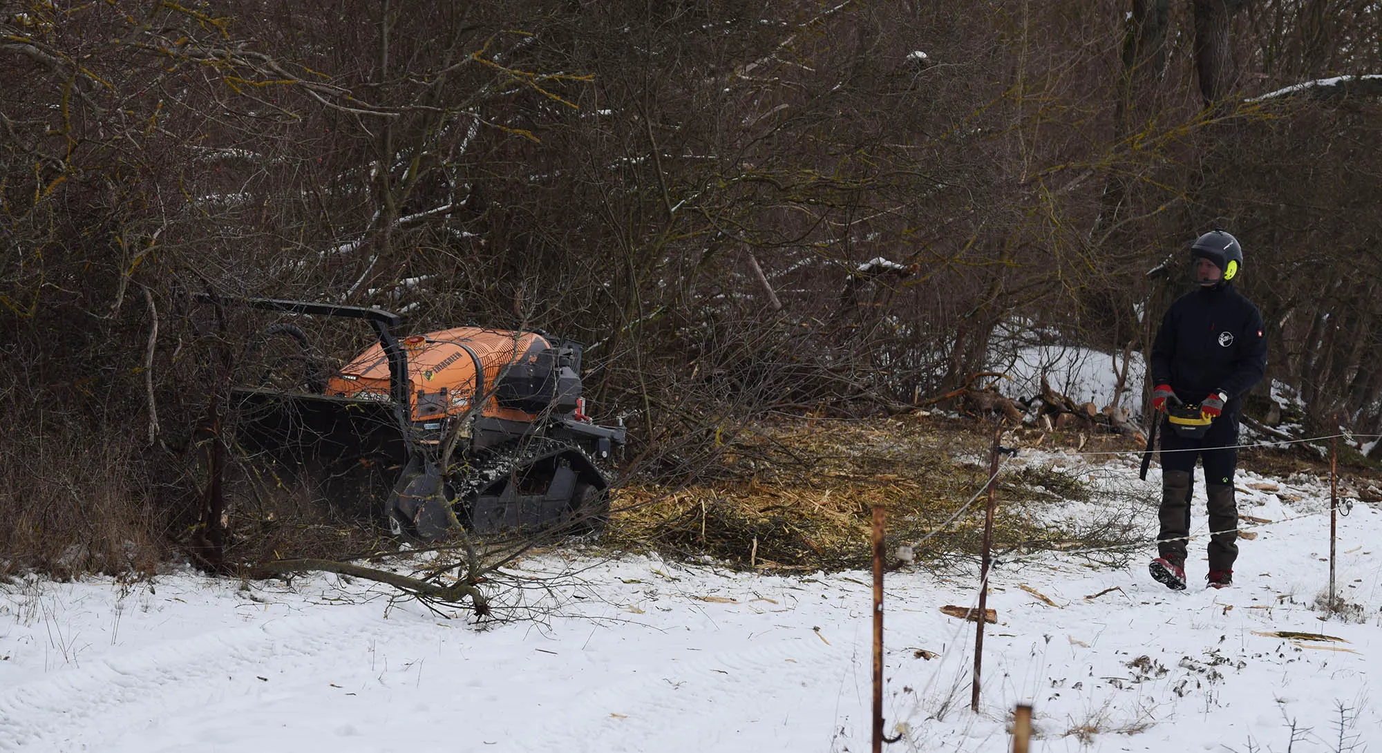 Professionelle Rodungsarbeiten in Naumburg